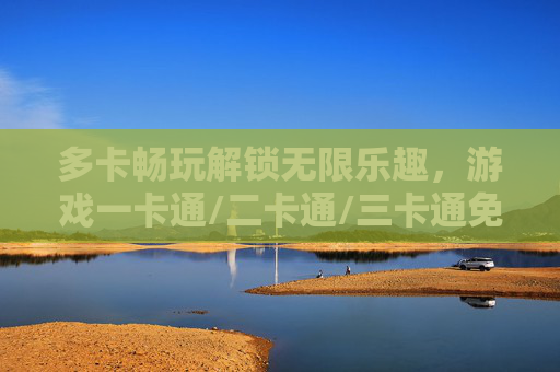 多卡畅玩解锁无限乐趣，游戏一卡通/二卡通/三卡通免费体验指南，多卡畅玩，游戏一/二/三卡通免费体验指南