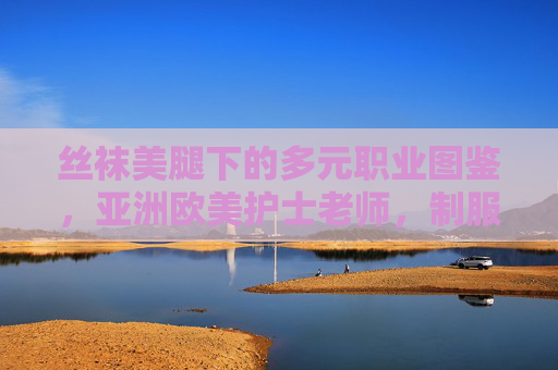 丝袜美腿下的多元职业图鉴，亚洲欧美护士老师，制服诱惑与专业风采共舞，多元职业制服图鉴，专业风采与魅力诱惑的共舞