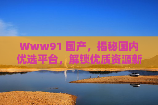 Www91 国产，揭秘国内优选平台，解锁优质资源新天地