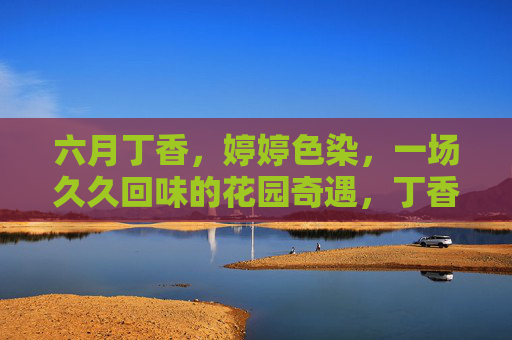 六月丁香，婷婷色染，一场久久回味的花园奇遇，丁香六月，花园奇遇久回眸