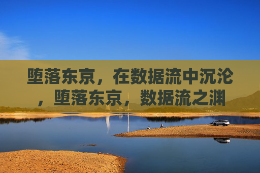 堕落东京，在数据流中沉沦，堕落东京，数据流之渊