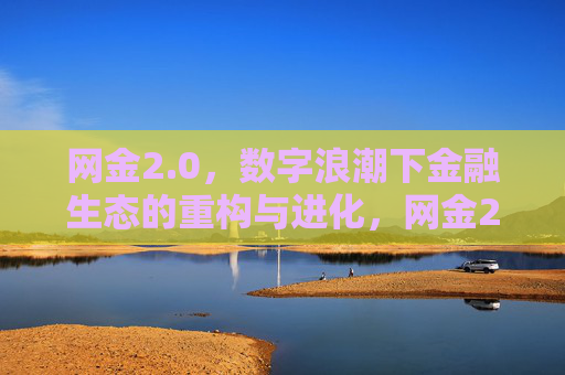 网金2.0，数字浪潮下金融生态的重构与进化，网金2.0，数字浪潮下金融生态的重构与进化