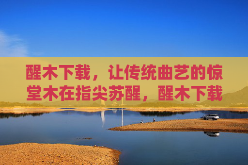 醒木下载，让传统曲艺的惊堂木在指尖苏醒，醒木下载，指尖苏醒惊堂木