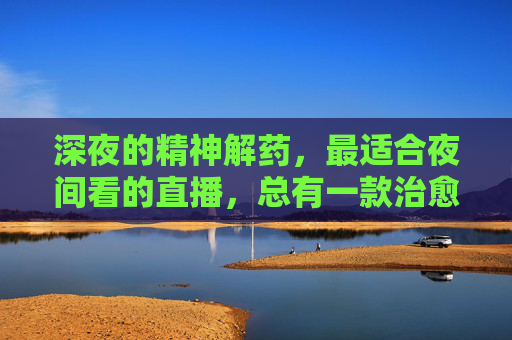 深夜的精神解药，最适合夜间看的直播，总有一款治愈你的夜，深夜治愈解药，总有一款直播暖你夜