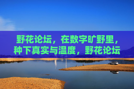野花论坛，在数字旷野里，种下真实与温度，野花论坛，数字旷野里的真实与温度