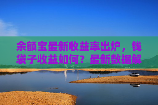 余额宝最新收益率出炉，钱袋子收益如何？最新数据解读，余额宝最新收益率，钱袋子收益数据解读