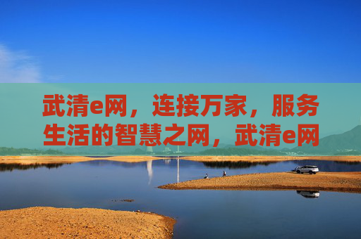 武清e网，连接万家，服务生活的智慧之网，武清e网，连接万家的智慧生活网