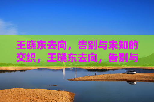 王晓东去向，告别与未知的交织，王晓东去向，告别与未知的交织