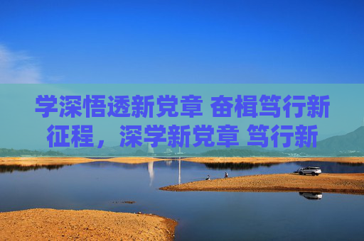 学深悟透新党章 奋楫笃行新征程，深学新党章 笃行新征程