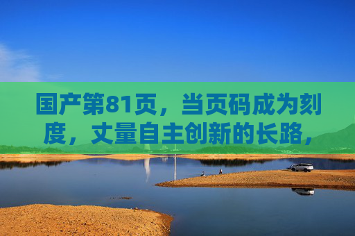 国产第81页，当页码成为刻度，丈量自主创新的长路，第81页，页码为尺，丈量自主创新长路