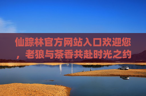 仙踪林官方网站入口欢迎您，老狼与茶香共赴时光之约，仙踪林，老狼与茶香的时光之约