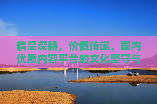 精品深耕，价值传递，国内优质内容平台的文化坚守与创新，平台，以精品深耕传递价值，坚守文化创新