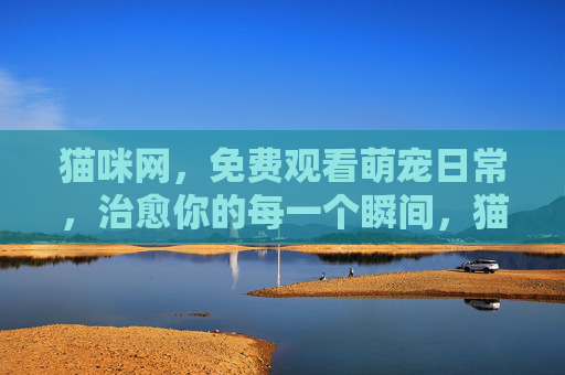猫咪网，免费观看萌宠日常，治愈你的每一个瞬间，猫咪网，免费萌宠日常，治愈每一瞬间