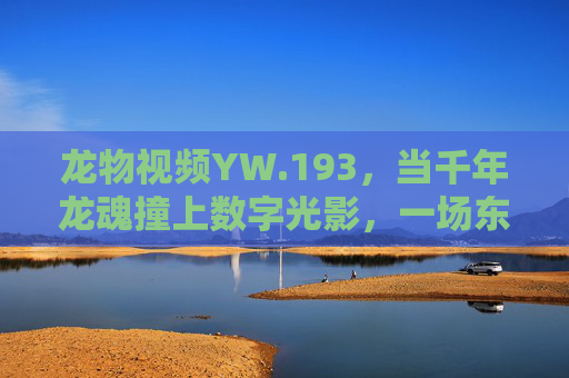 龙物视频YW.193，当千年龙魂撞上数字光影，一场东方美学的当代叙事，千年龙魂撞数字光影，东方美学的当代叙事