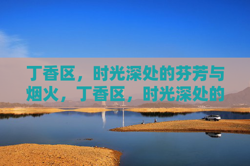 丁香区，时光深处的芬芳与烟火，丁香区，时光深处的芬芳烟火