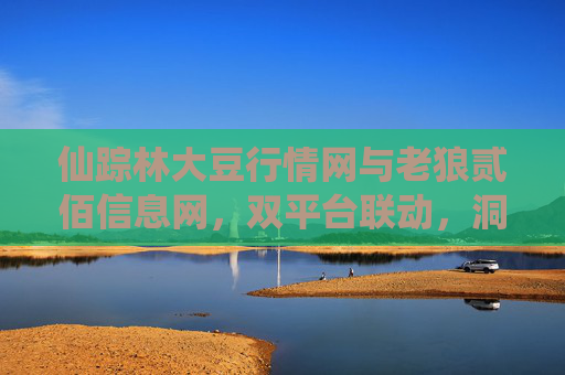 仙踪林大豆行情网与老狼贰佰信息网，双平台联动，洞察大豆市场新动向，仙踪林大豆行情网与老狼贰佰信息网双平台联动，洞察大豆市场新动向