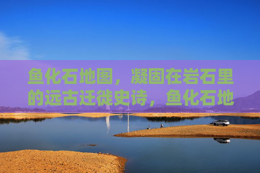 鱼化石地图，凝固在岩石里的远古迁徙史诗，鱼化石地图，凝固岩石的远古迁徙史诗