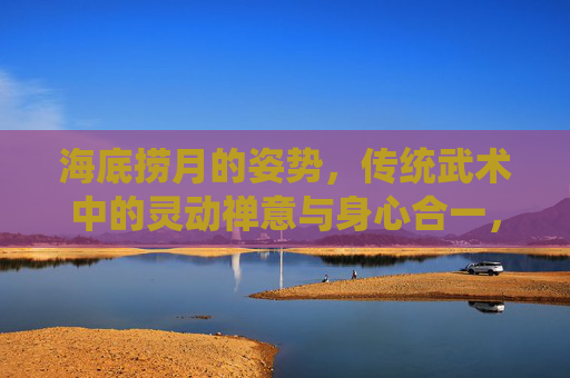 海底捞月的姿势，传统武术中的灵动禅意与身心合一，海底捞月，传统武术中的灵动禅意与身心合一