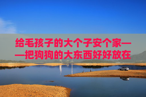 给毛孩子的大个子安个家——把狗狗的大东西好好放在里面，给毛孩子的大个子安个家