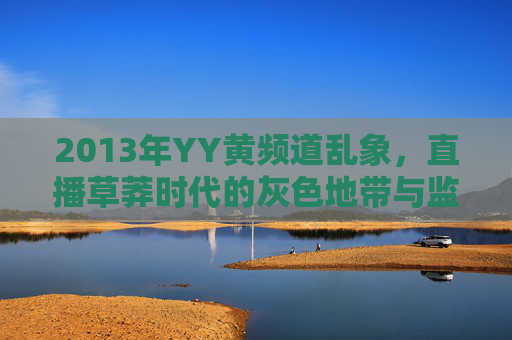 2013年YY黄频道乱象，直播草莽时代的灰色地带与监管觉醒，2013年YY黄频道乱象，直播草莽时代的灰色地带与监管觉醒