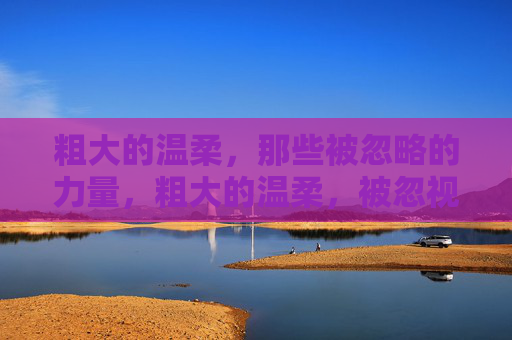 粗大的温柔，那些被忽略的力量，粗大的温柔，被忽视的力量