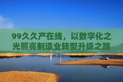 99久久产在线，以数字化之光照亮制造业转型升级之路，99久久产在线，数字化之光照亮制造业转型升级