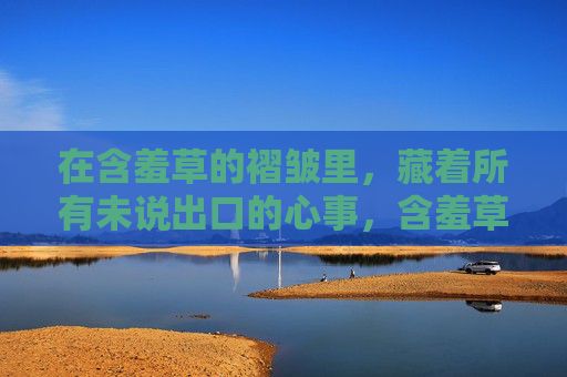 在含羞草的褶皱里，藏着所有未说出口的心事，含羞草褶皱里的未言心事