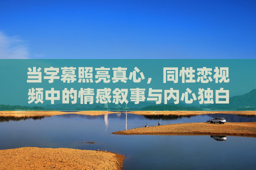 当字幕照亮真心，同性恋视频中的情感叙事与内心独白，当字幕照亮真心，同性恋视频的情感叙事与内心独白