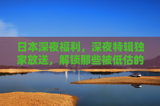 日本深夜福利，深夜特辑独家放送，解锁那些被低估的精彩影视密码，日本深夜特辑，解锁被低估的影视密码
