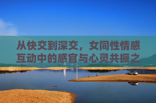从快交到深交，女同性情感互动中的感官与心灵共振之旅，女同性情感，从感官快交到心灵深交之旅