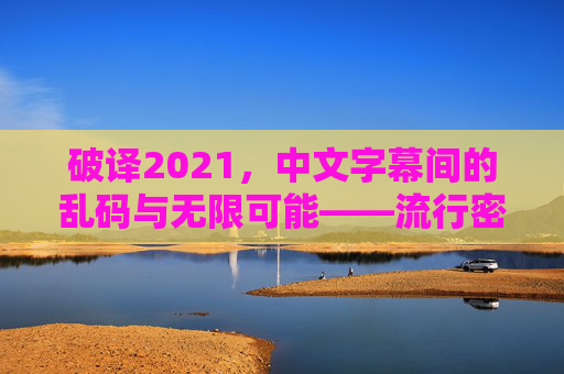破译2021，中文字幕间的乱码与无限可能——流行密码背后的青年文化图鉴，2021字幕乱码，流行密码里的青年文化图鉴