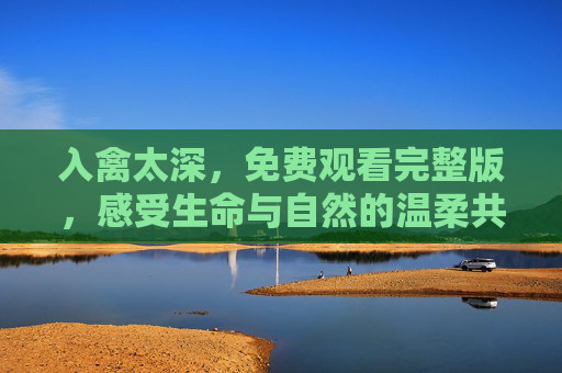 入禽太深，免费观看完整版，感受生命与自然的温柔共鸣，入禽太深，生命与自然的温柔共鸣