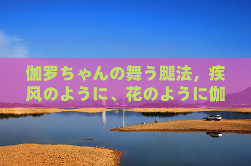 伽罗ちゃんの舞う腿法，疾风のように、花のように伽罗疾风花舞腿法