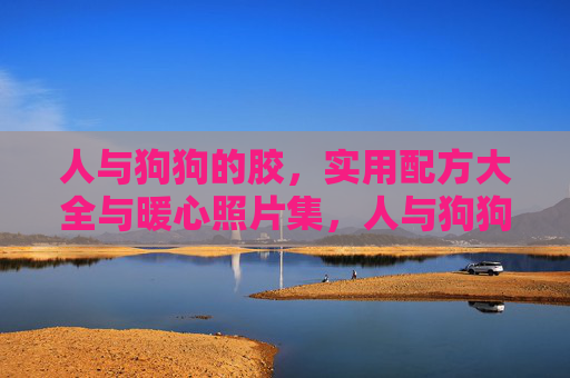 人与狗狗的胶，实用配方大全与暖心照片集，人与狗狗的暖心胶，实用配方大全与温情照片集