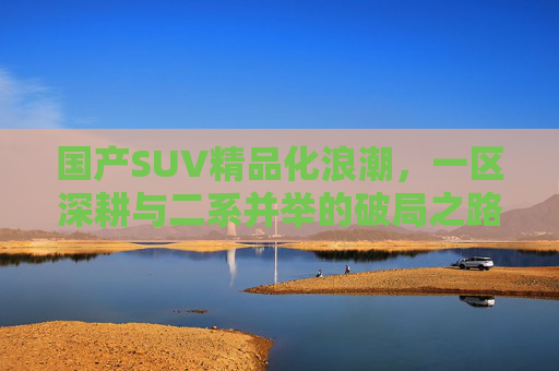 国产SUV精品化浪潮，一区深耕与二系并举的破局之路，一区深耕二系并举，国产SUV精品化破局之路