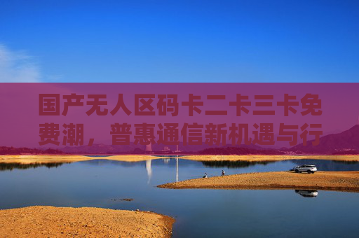 国产无人区码卡二卡三卡免费潮，普惠通信新机遇与行业变革，国产无人区码卡免费潮，普惠通信新机遇与行业变革