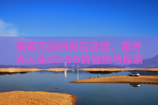 硝烟弥漫的真实战场，国外真人版CS:GO的狂热与探索，国外真人版CS:GO，硝烟弥漫真实战场的狂热与探索