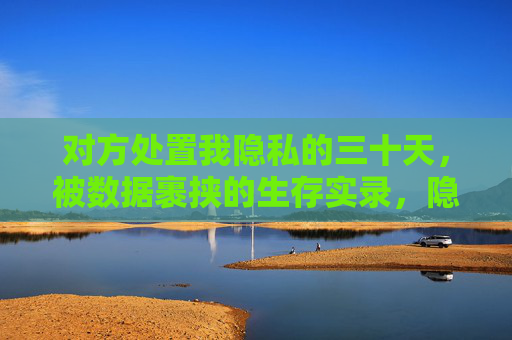 对方处置我隐私的三十天，被数据裹挟的生存实录，隐私处置三十天，被数据裹挟的生存实录