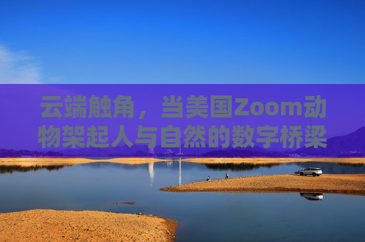 云端触角，当美国Zoom动物架起人与自然的数字桥梁，云端触角，Zoom动物架起人与自然的数字桥梁