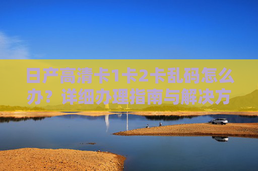 日产高清卡1卡2卡乱码怎么办？详细办理指南与解决方法，日产高清卡1卡2卡乱码解决指南