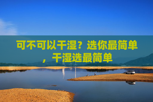 可不可以干湿？选你最简单，干湿选最简单
