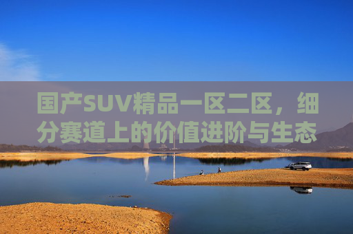 国产SUV精品一区二区，细分赛道上的价值进阶与生态重构，国产SUV细分赛道，价值进阶与生态重构