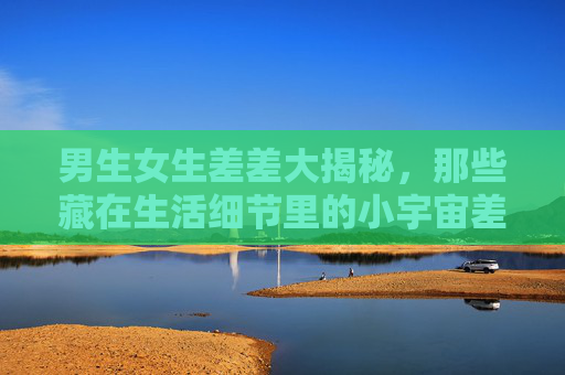 男生女生差差大揭秘，那些藏在生活细节里的小宇宙差异，男生女生差异大揭秘，藏在生活细节里的小宇宙