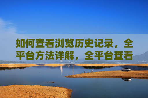 如何查看浏览历史记录，全平台方法详解，全平台查看浏览历史记录方法详解