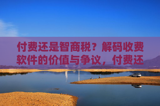付费还是智商税？解码收费软件的价值与争议，付费还是智商税？解码收费软件的价值与争议