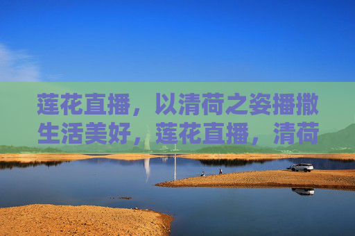 莲花直播，以清荷之姿播撒生活美好，莲花直播，清荷播撒美好