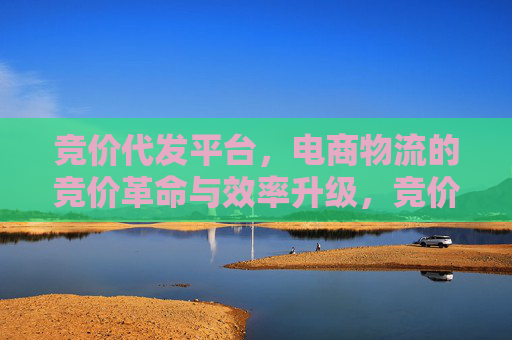 竞价代发平台，电商物流的竞价革命与效率升级，竞价代发平台，电商物流的竞价革命与效率升级