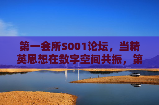 第一会所S001论坛，当精英思想在数字空间共振，第一会所S001论坛，精英思想数字空间共振