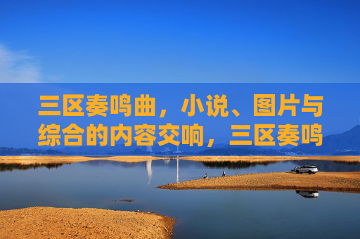 三区奏鸣曲，小说、图片与综合的内容交响，三区奏鸣曲