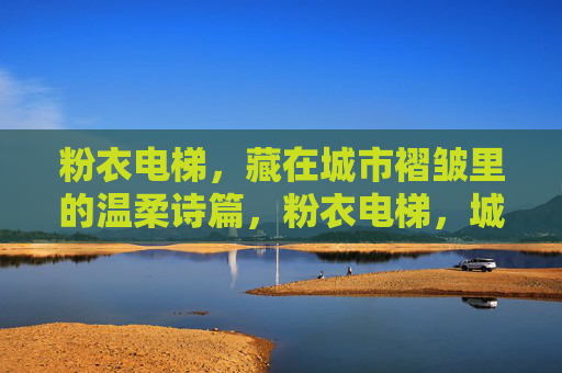 粉衣电梯，藏在城市褶皱里的温柔诗篇，粉衣电梯，城市褶皱里的温柔诗篇